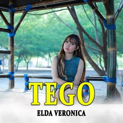 Elda Veronica's cover