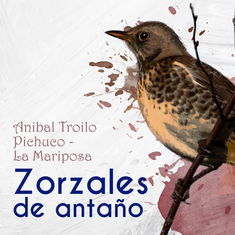 Anibal Troilo (Pichuco)'s avatar image