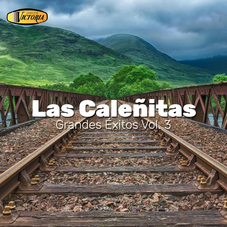 Las Caleñitas's avatar image