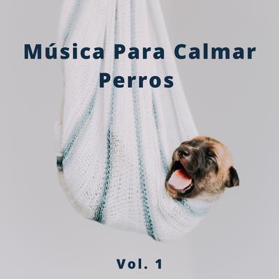 Sonidos De Gatos's cover