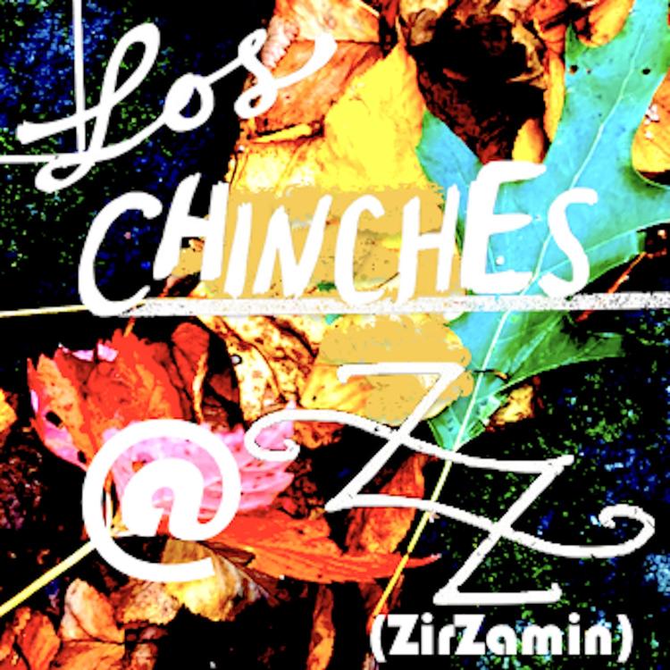 Los Chinches's avatar image