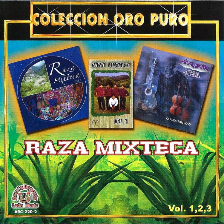 Raza Mixteca's avatar image