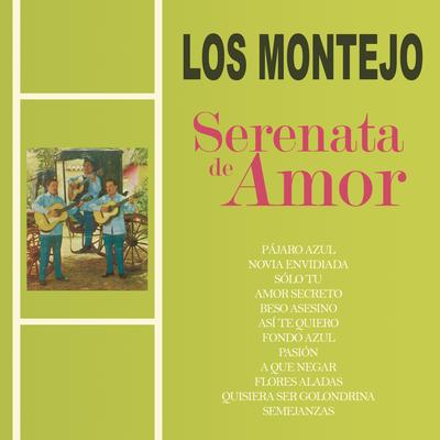 Serenata de Amor's cover