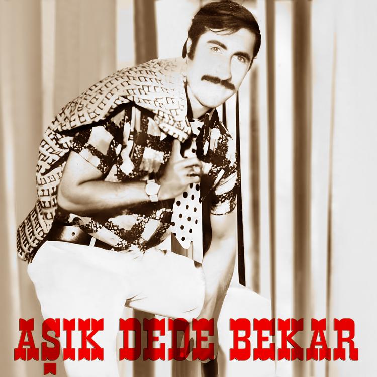 Aşık Dede Bekar's avatar image