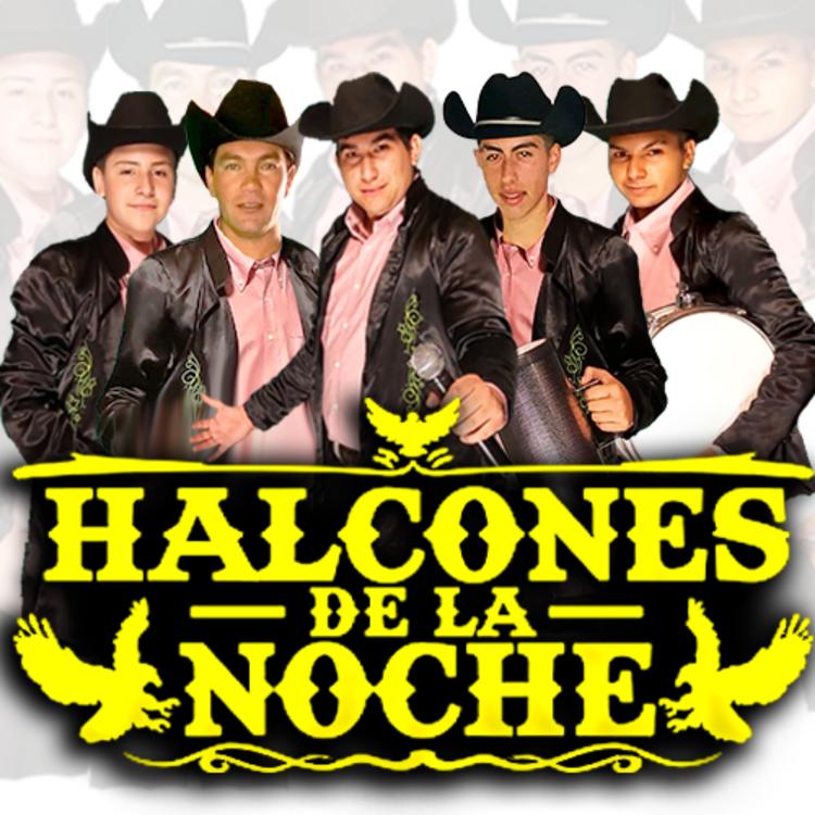 Los Halcones de la Noche's avatar image