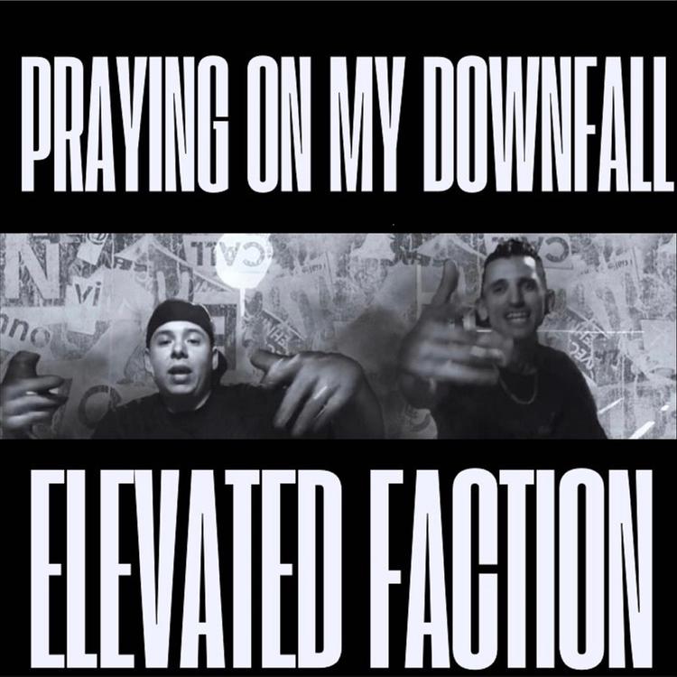 Elevated Faction's avatar image