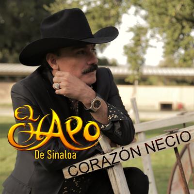 Corazón Necio's cover