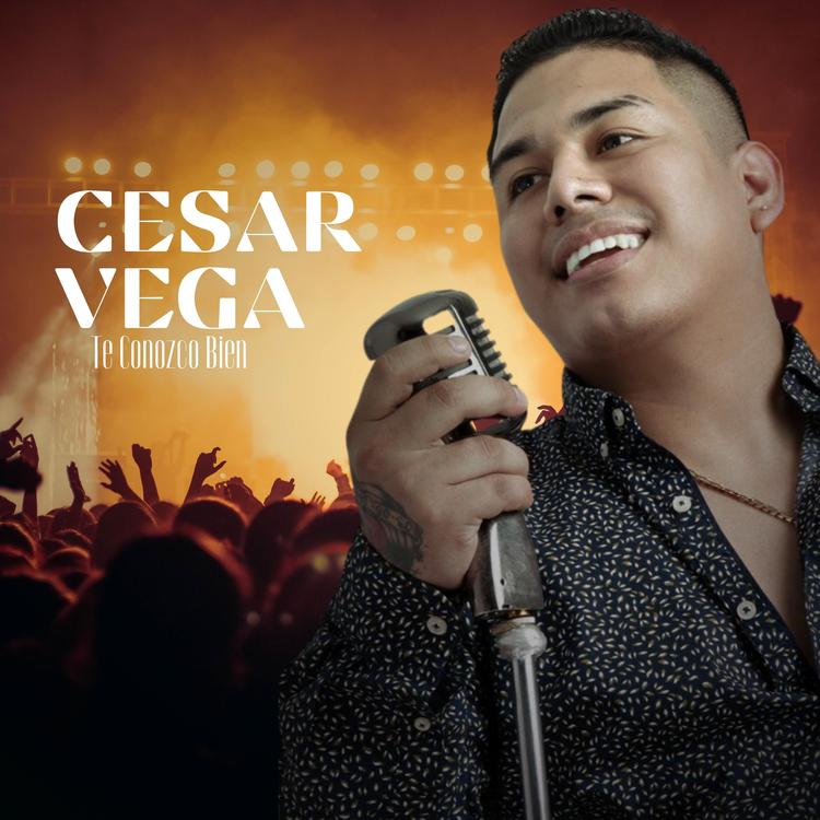 César Véga's avatar image