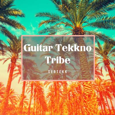 Guitar Tekkno Tribe's cover