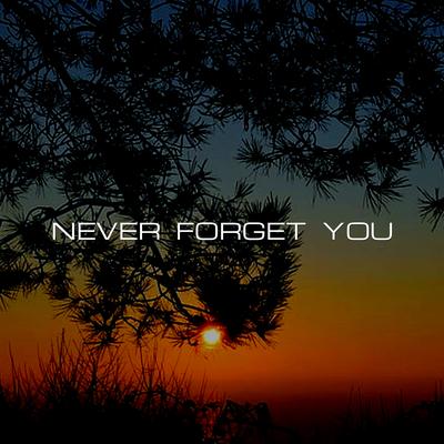 Never Forget You's cover
