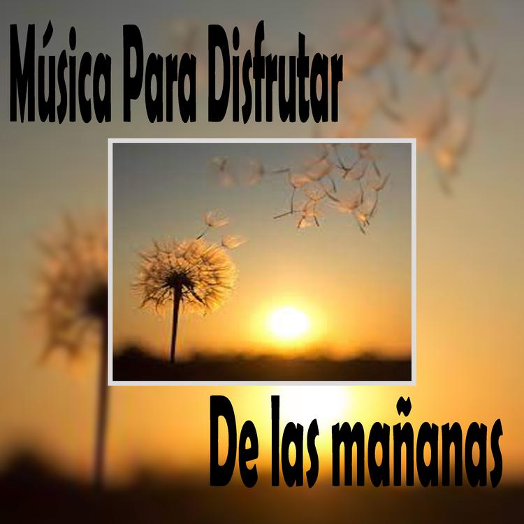Sonidos De Las mañanas's avatar image