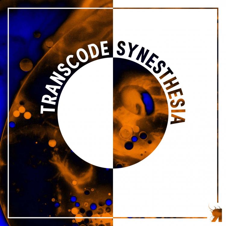 Transcode's avatar image