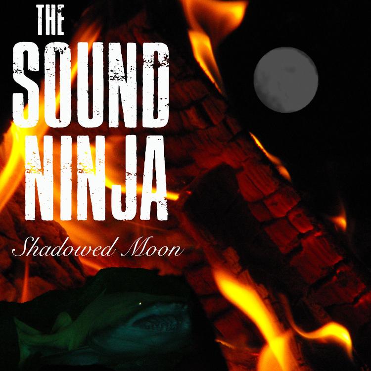 The Sound Ninja's avatar image
