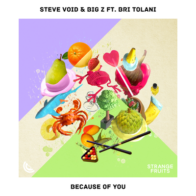 Because Of You By Steve Void, Big Z, Bri Tolani's cover