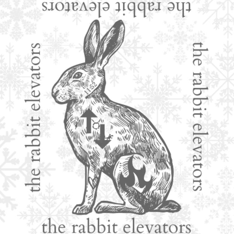 The Rabbit Elevators's avatar image