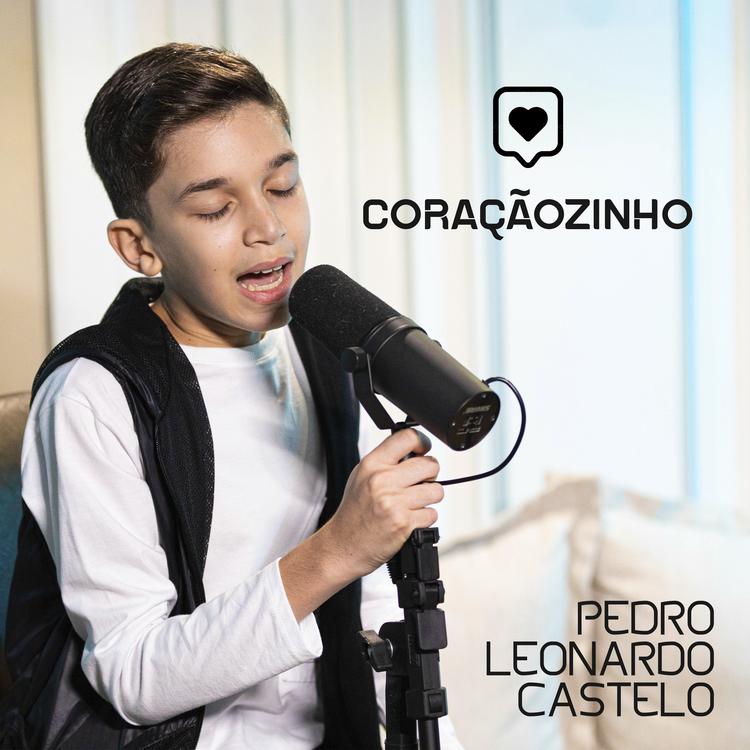 Pedro Leonardo Castelo's avatar image