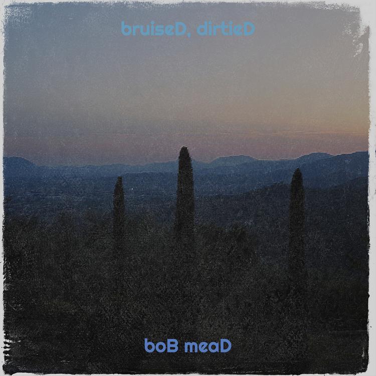 boB meaD's avatar image