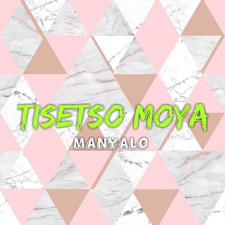 Tisetso Moya's avatar image