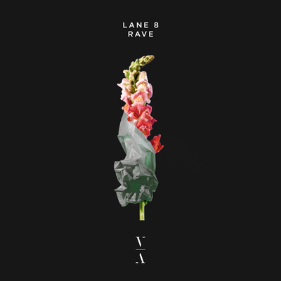 Rave By Lane 8's cover