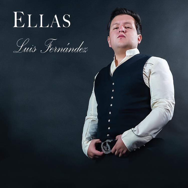 Luis Fernández's avatar image