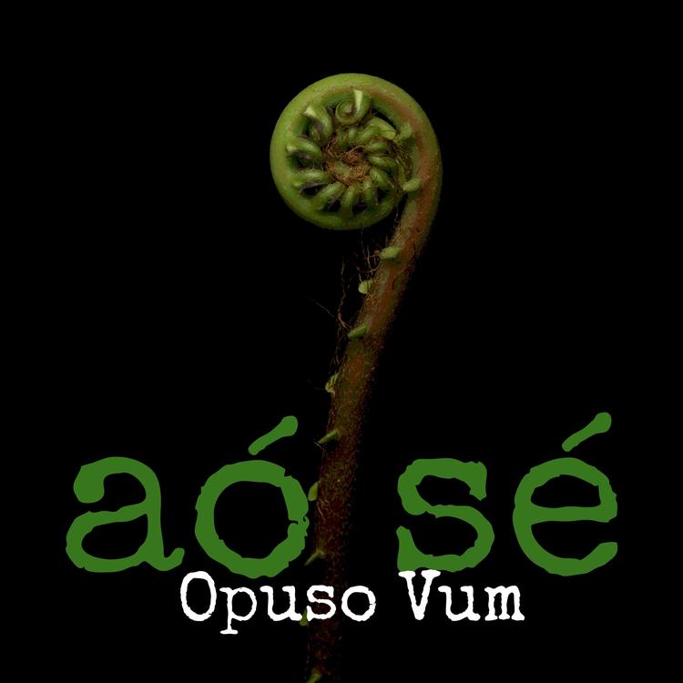 Aó Sé's avatar image