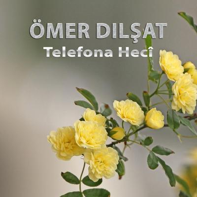 Telefona Hecî's cover