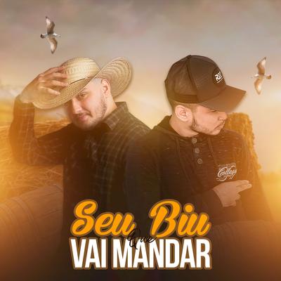 Seu Biu Que Vai Mandar By Vinnyrd7, Biu do Piseiro's cover