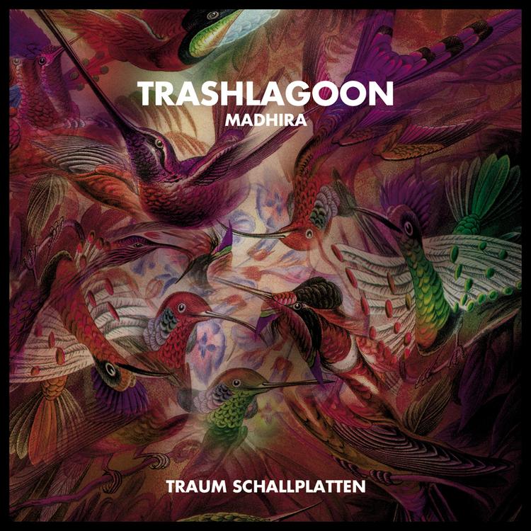 Trashlagoon's avatar image
