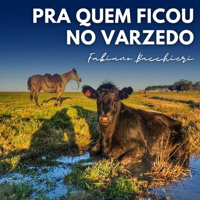 Pra Quem Ficou no Varzedo By Fabiano Bacchieri's cover