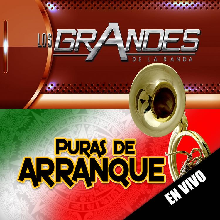 Los Grandes De La Banda's avatar image