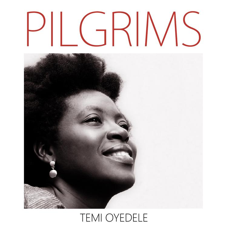 Temi Oyedele's avatar image