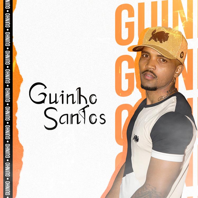 Guinho Santos's avatar image