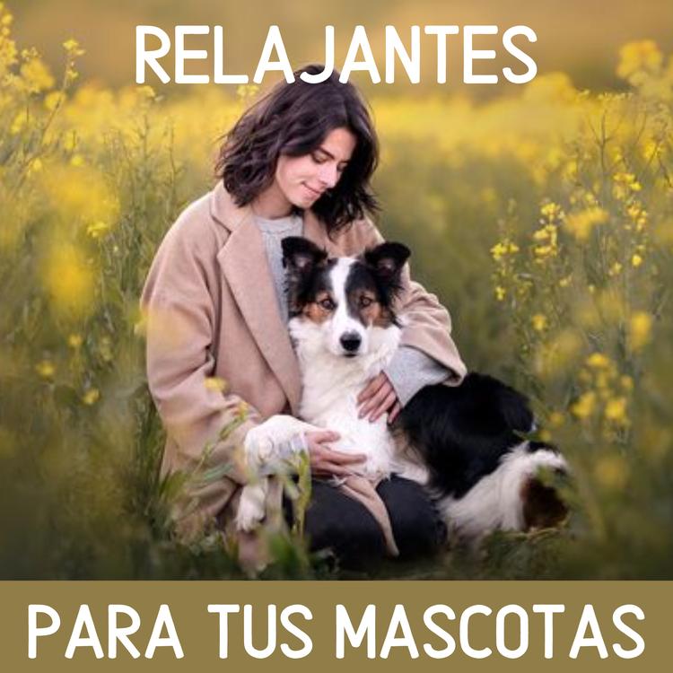 RELAJANTES PARA MASCOTAS's avatar image