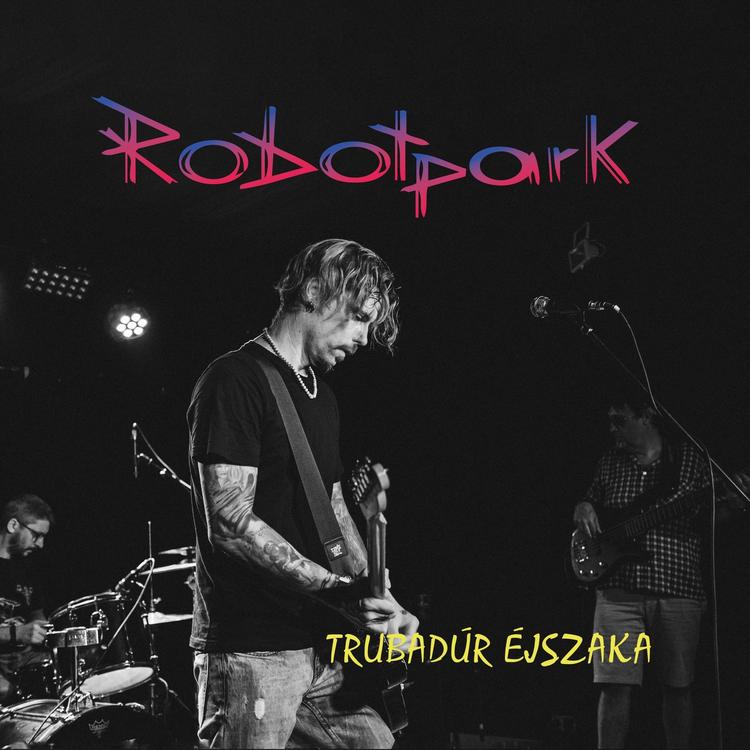 Robotpark's avatar image