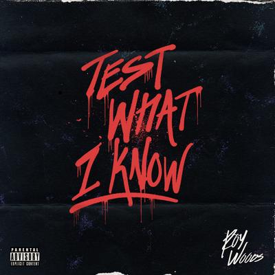 Test What I Know By Roy Woods's cover