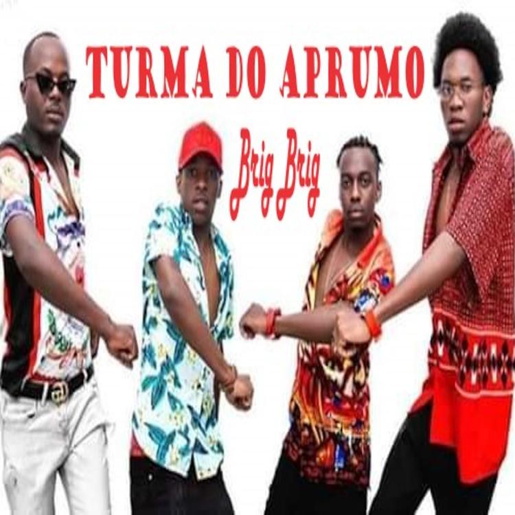 Turma do Aprumo's avatar image