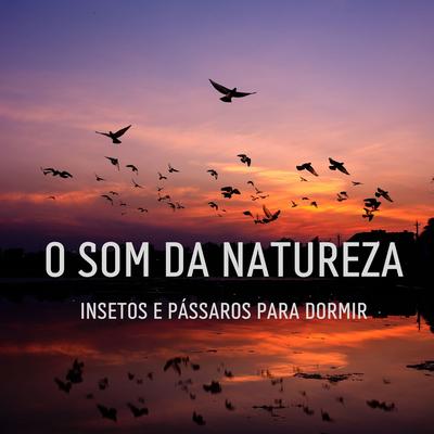 O Som Da Natureza: Insetos E Pássaros Para Dormir's cover