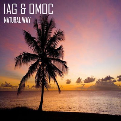 Never With Me By Iag & Omoc's cover