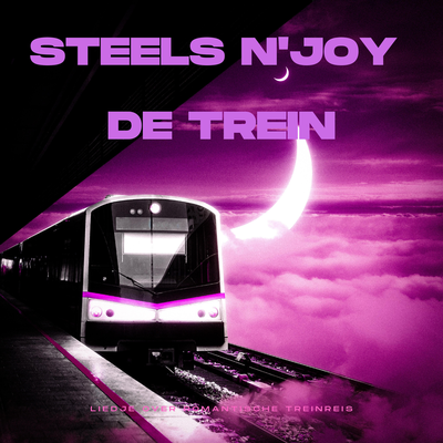 Steels N'Joy's cover