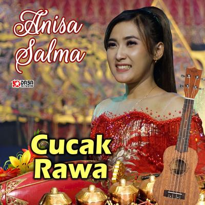 Cucak Rawa's cover