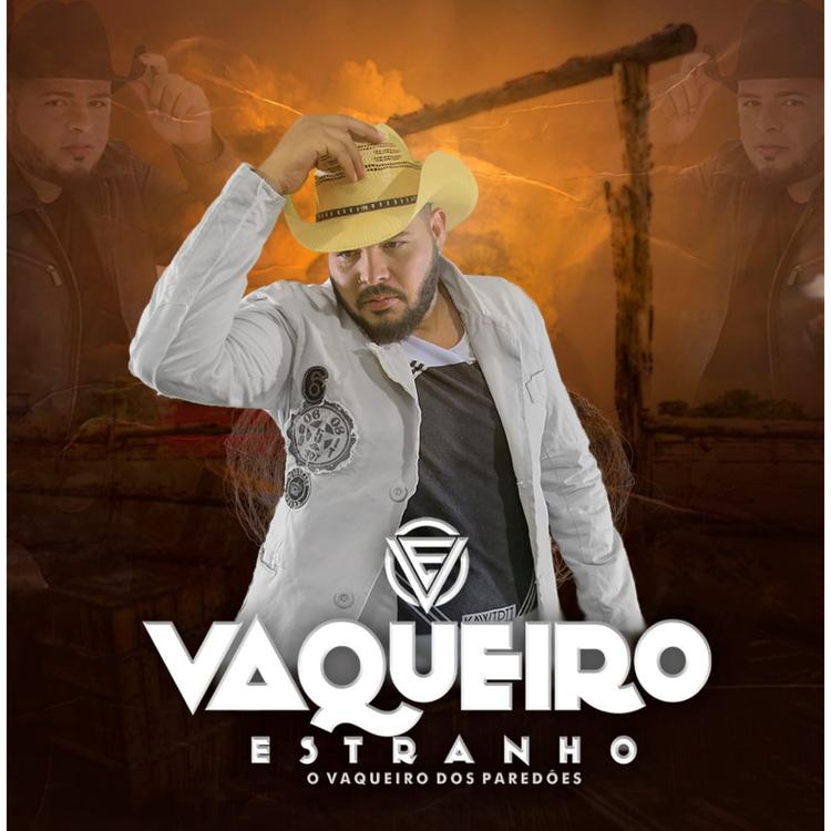 Vaqueiro Estranho's avatar image