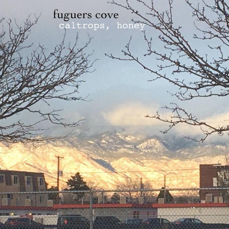 Fuguers Cove's avatar image