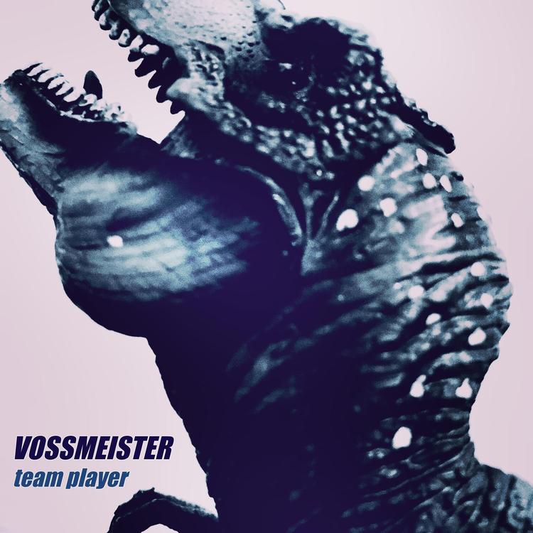 Vossmeister's avatar image