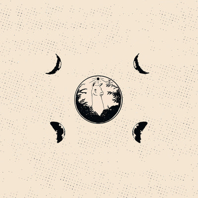Llama Moon, Pt. 1's cover