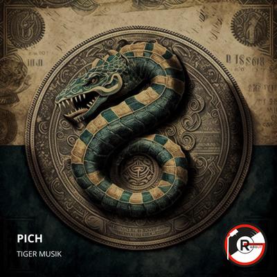 Pich By Tiger Musik's cover