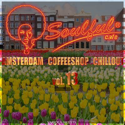 Amsterdam Coffeeshop Chillout, Vol. 13's cover