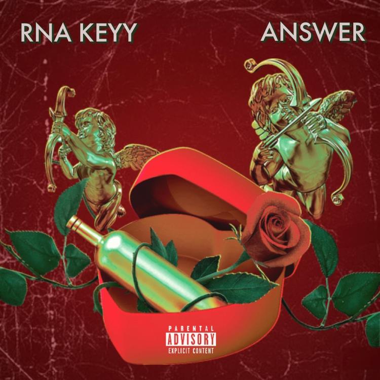 RNA Keyy's avatar image