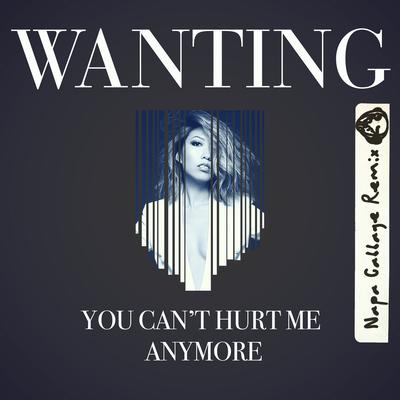 You Can't Hurt Me Anymore (Napa Cabbage Remix)'s cover