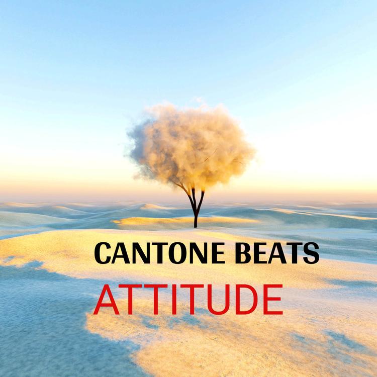 Cantone Beats's avatar image