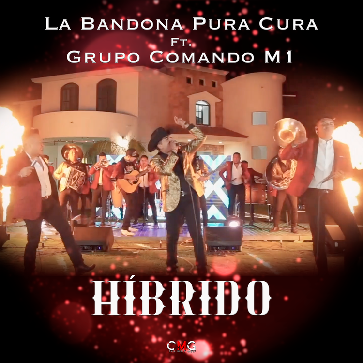 La Bandona Pura Cura's avatar image